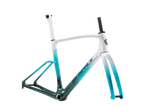 Agile Carbon Frameset - All rounder race frame