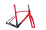 Agile Carbon Frameset - All rounder race frame