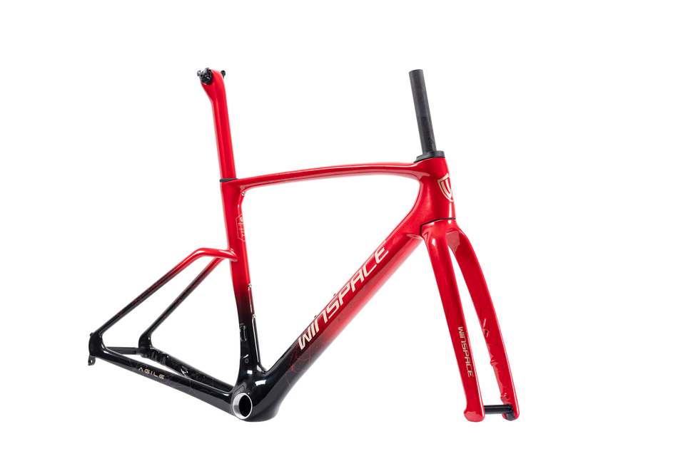Agile Carbon Frameset All rounder race frame Winspace NZ