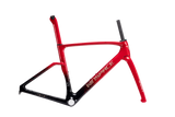 Agile Carbon Frameset - All rounder race frame