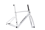 Agile Carbon Frameset - All rounder race frame