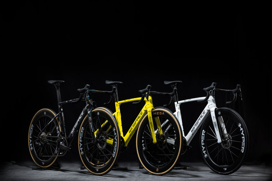 T1600 Carbon Frameset