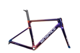 SLC5 Carbon Frameset