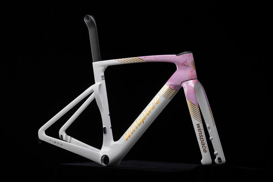 T1600 Carbon Frameset