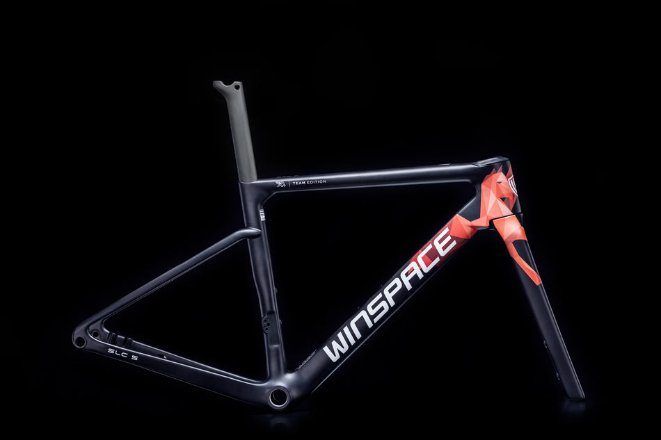SLC 5 Carbon Frameset