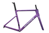 SLC5 Carbon Frameset